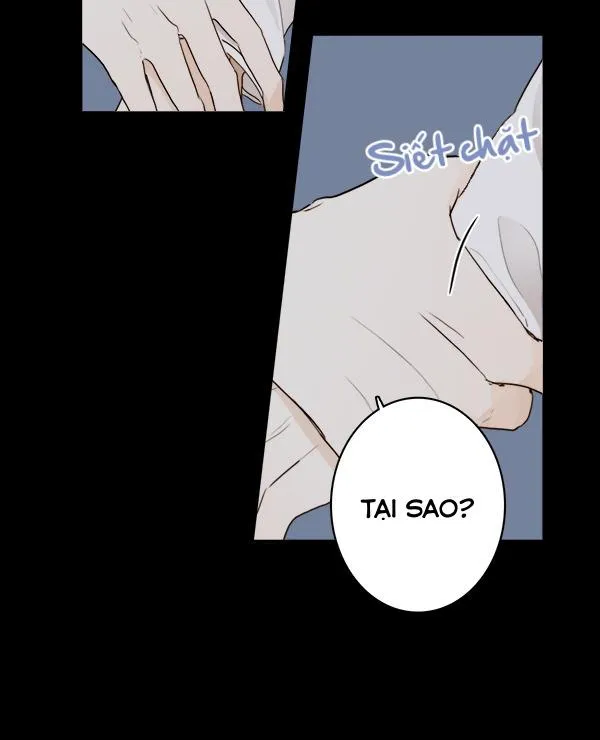 Thiên Đường Táo Xanh Chapter 16 Trang 3