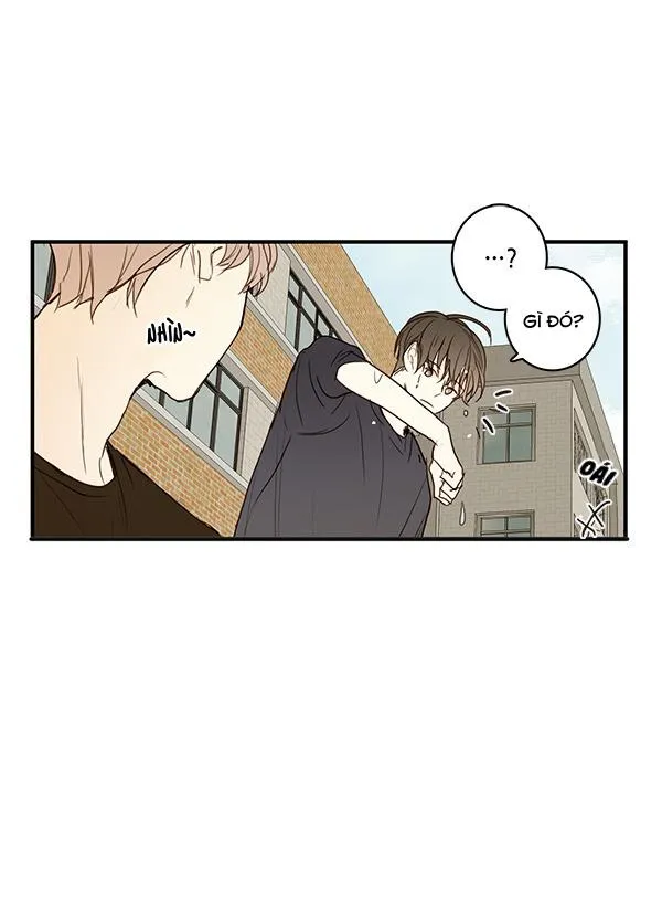 Thiên Đường Táo Xanh Chapter 20 Trang 29