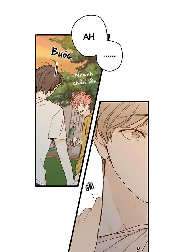 Thiên Đường Táo Xanh Chapter 22 Trang 12