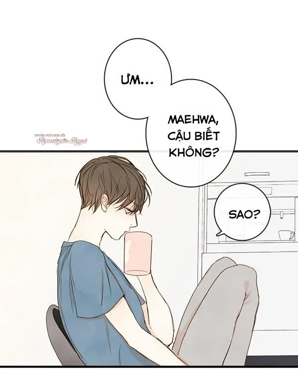 Thiên Đường Táo Xanh Chapter 22 Trang 75