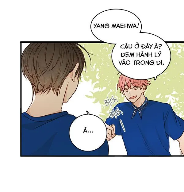 Thiên Đường Táo Xanh Chapter 29 Trang 12