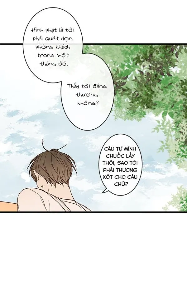 Thiên Đường Táo Xanh Chapter 35 Trang 52