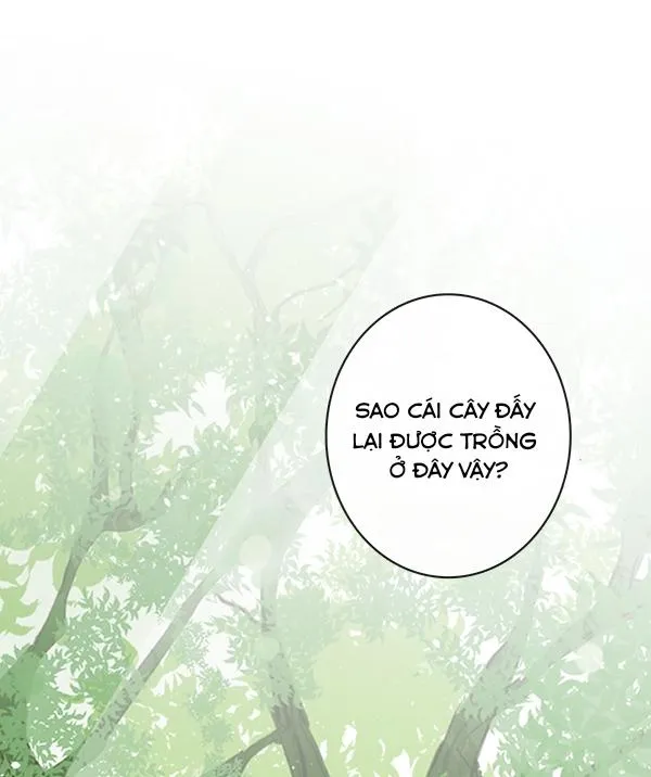 Thiên Đường Táo Xanh Chapter 36 Trang 34