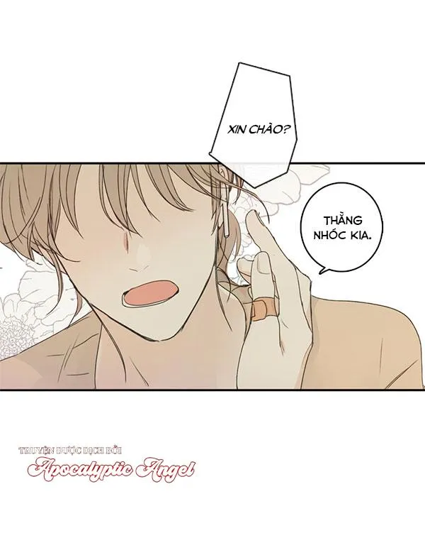 Thiên Đường Táo Xanh Chapter 46 Trang 29