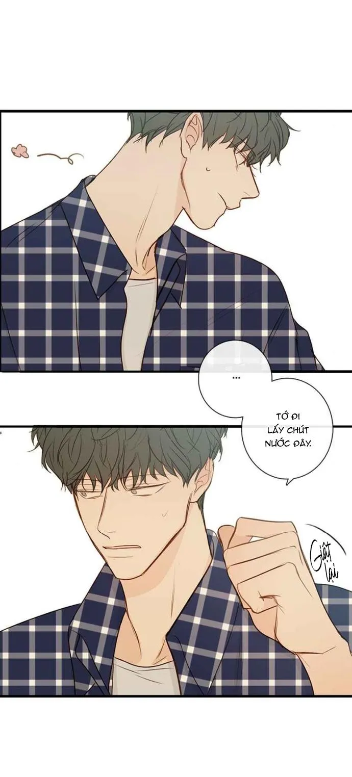 Thiên Đường Táo Xanh Chapter 65 Trang 17