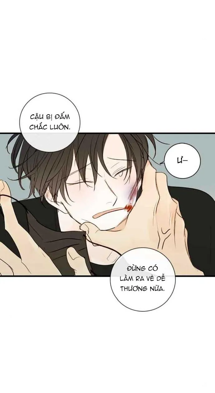 Thiên Đường Táo Xanh Chapter 67 Trang 24