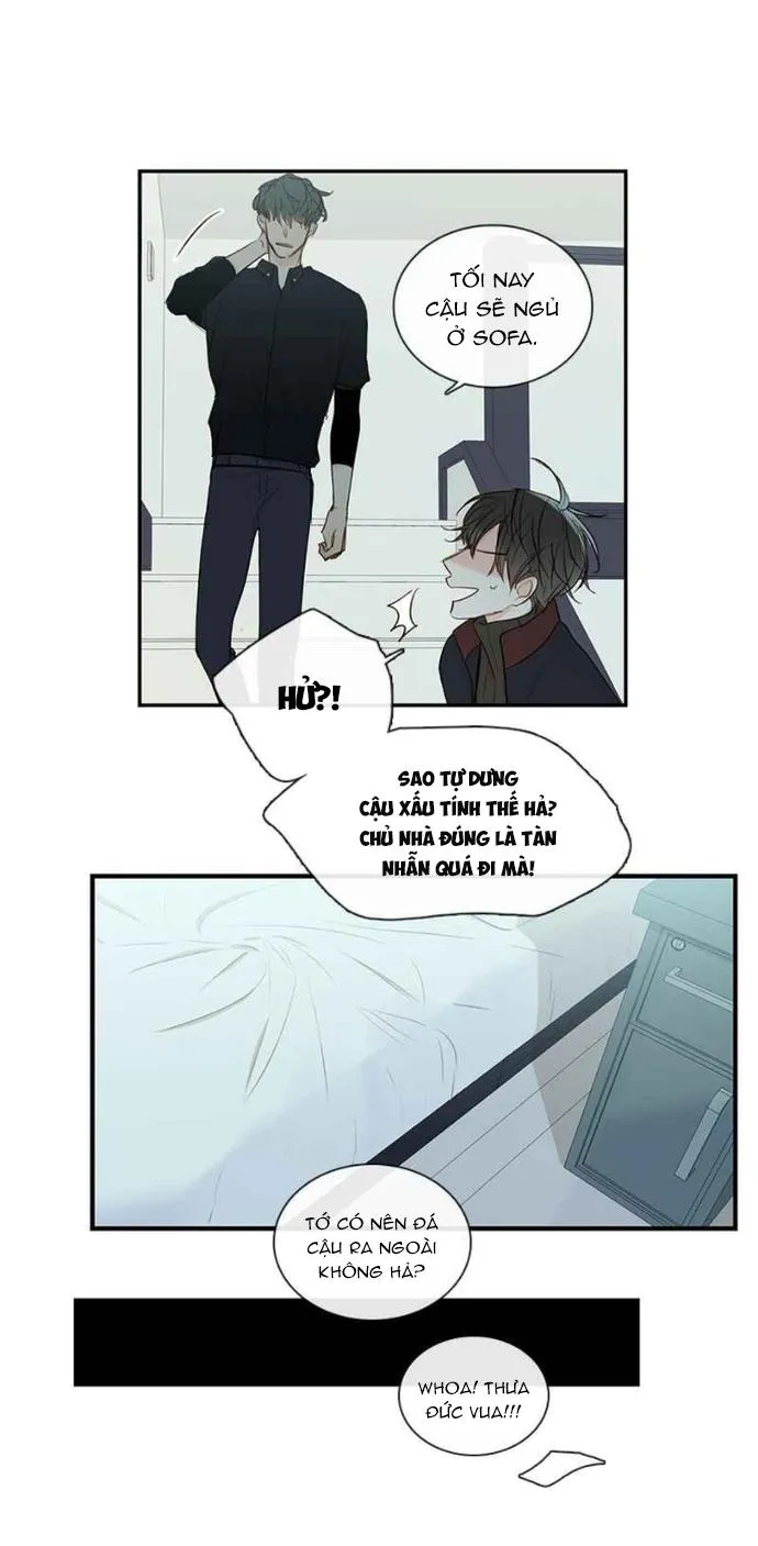 Thiên Đường Táo Xanh Chapter 68 Trang 15