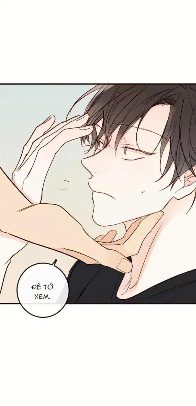 Thiên Đường Táo Xanh Chapter 81 Trang 9