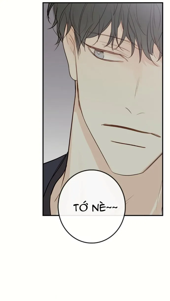 Thiên Đường Táo Xanh Chapter 81 Trang 39