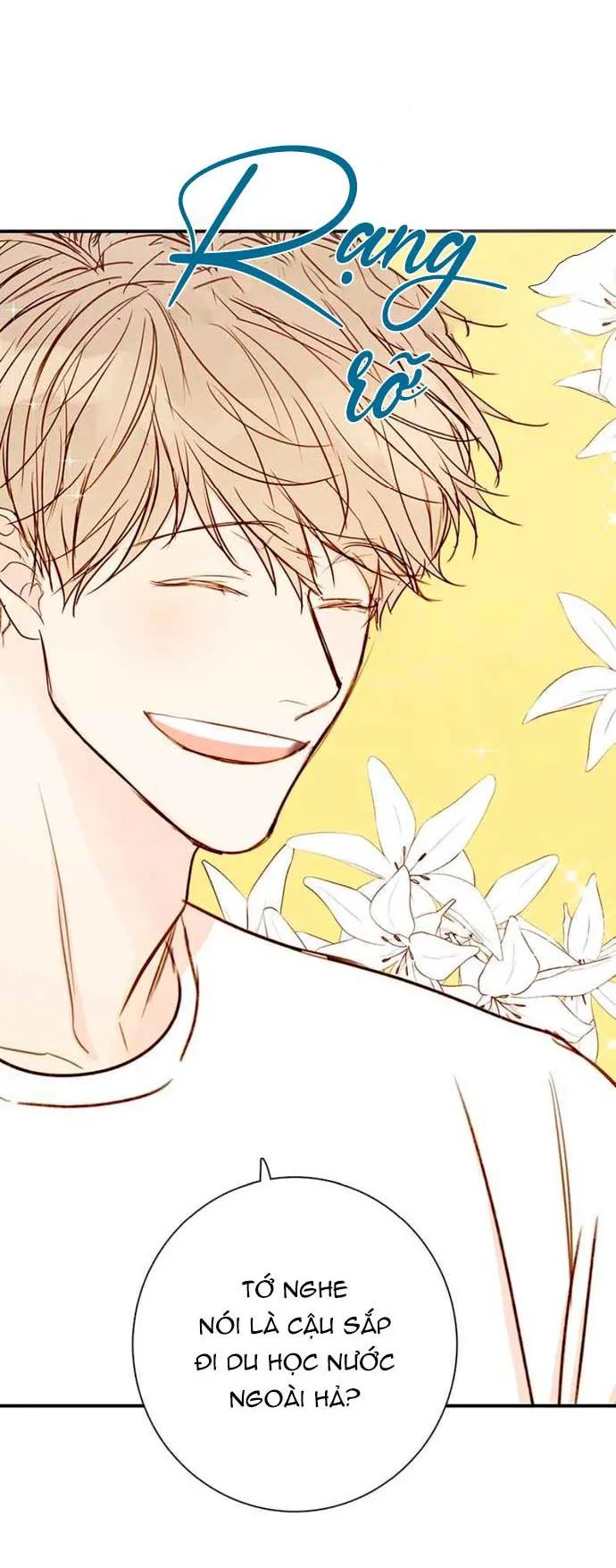 Thiên Đường Táo Xanh Chapter 82 Trang 3