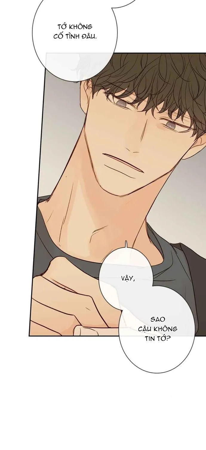 Thiên Đường Táo Xanh Chapter 83 Trang 19