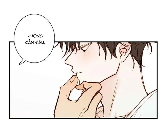 Thiên Đường Táo Xanh Chapter 84 Trang 3