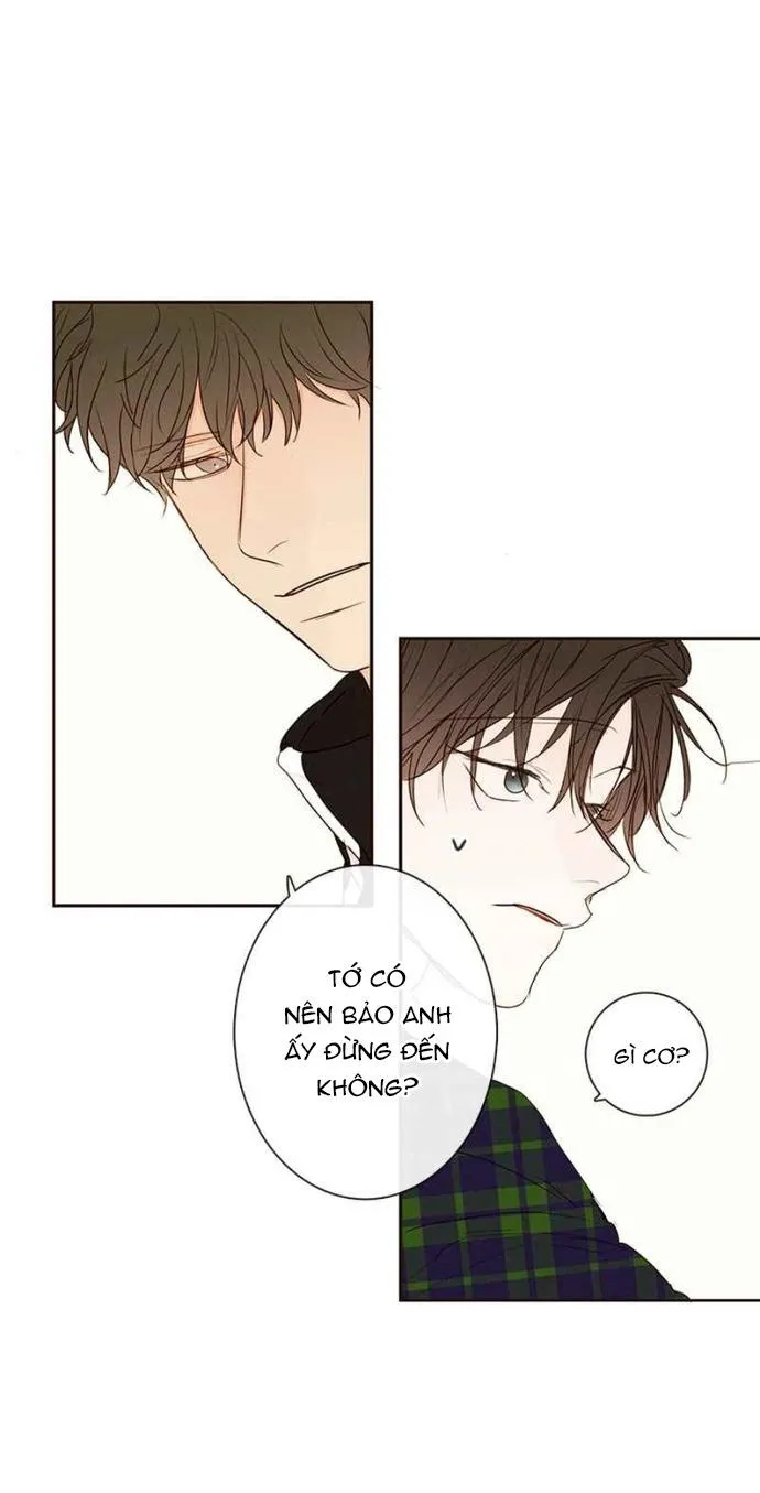 Thiên Đường Táo Xanh Chapter 85 Trang 31