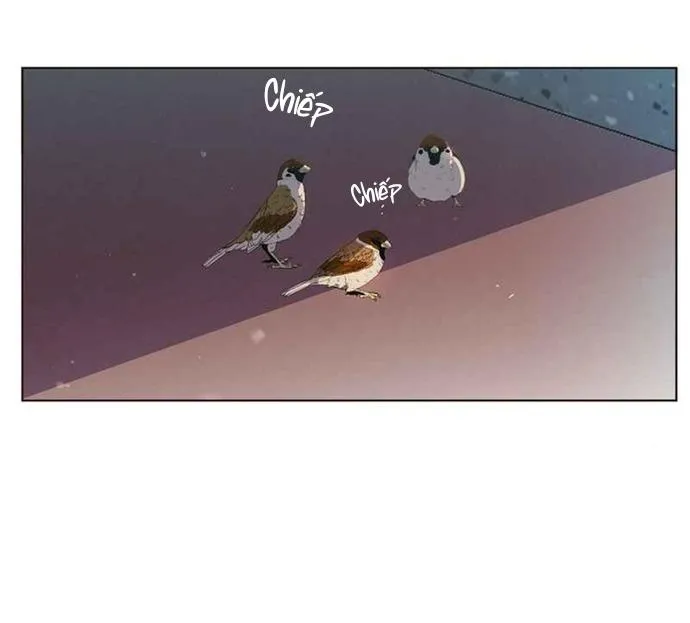 Thiên Đường Táo Xanh Chapter 86 Trang 51