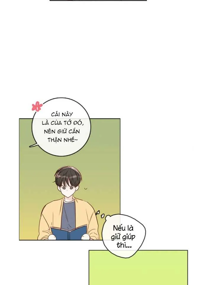 Thiên Đường Táo Xanh Chapter 110 Trang 11