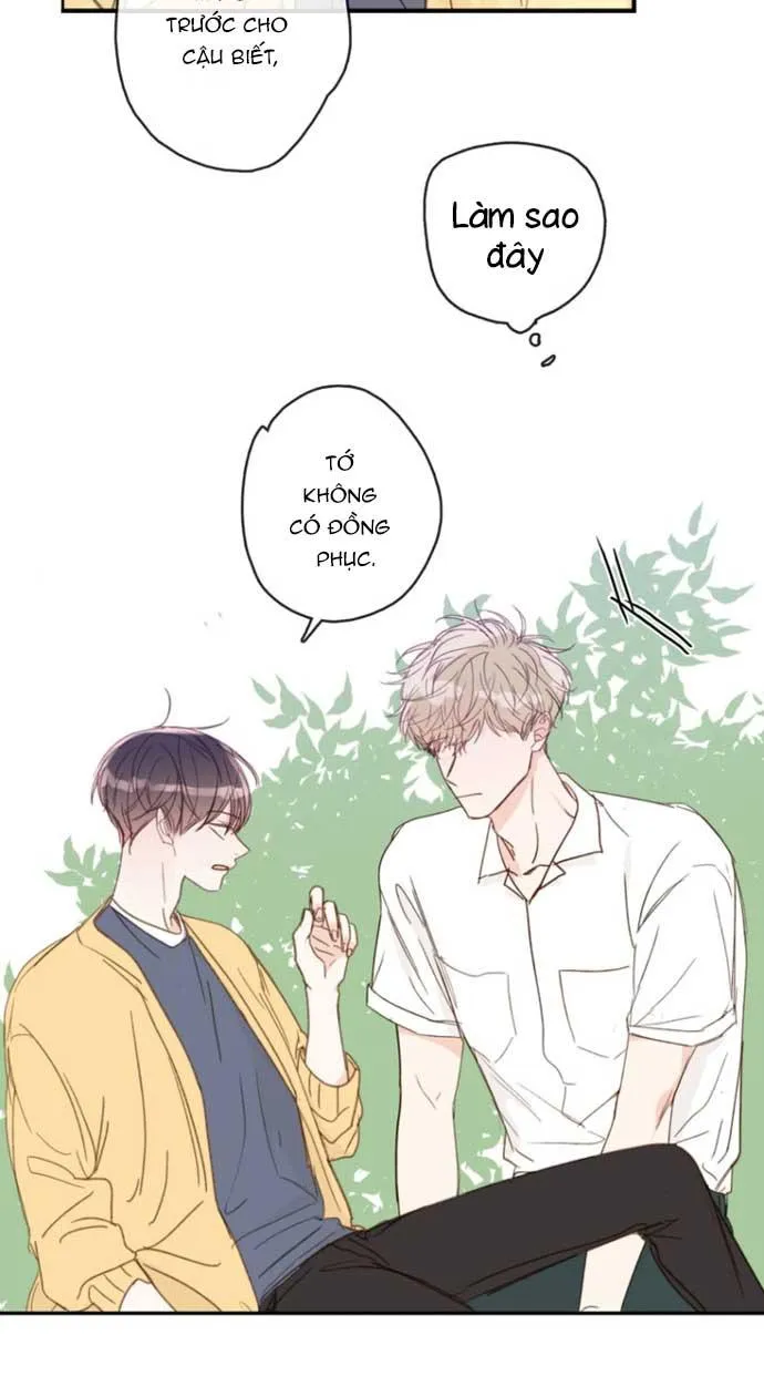 Thiên Đường Táo Xanh Chapter 110 Trang 28