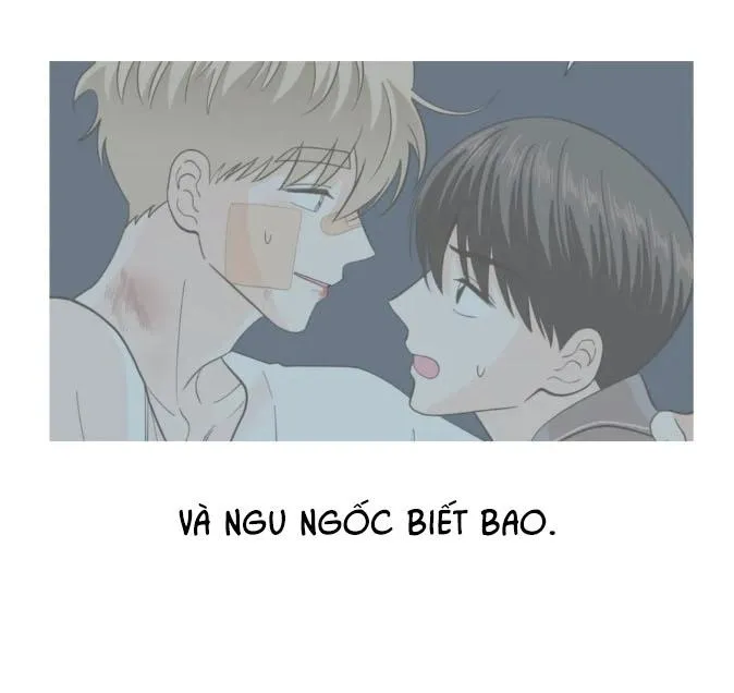 Thiếu Niên Nổi Loạn Chapter 53 Trang 42