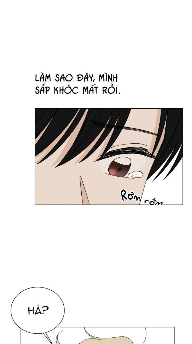 Thiếu Niên Nổi Loạn Chapter 58 Trang 54