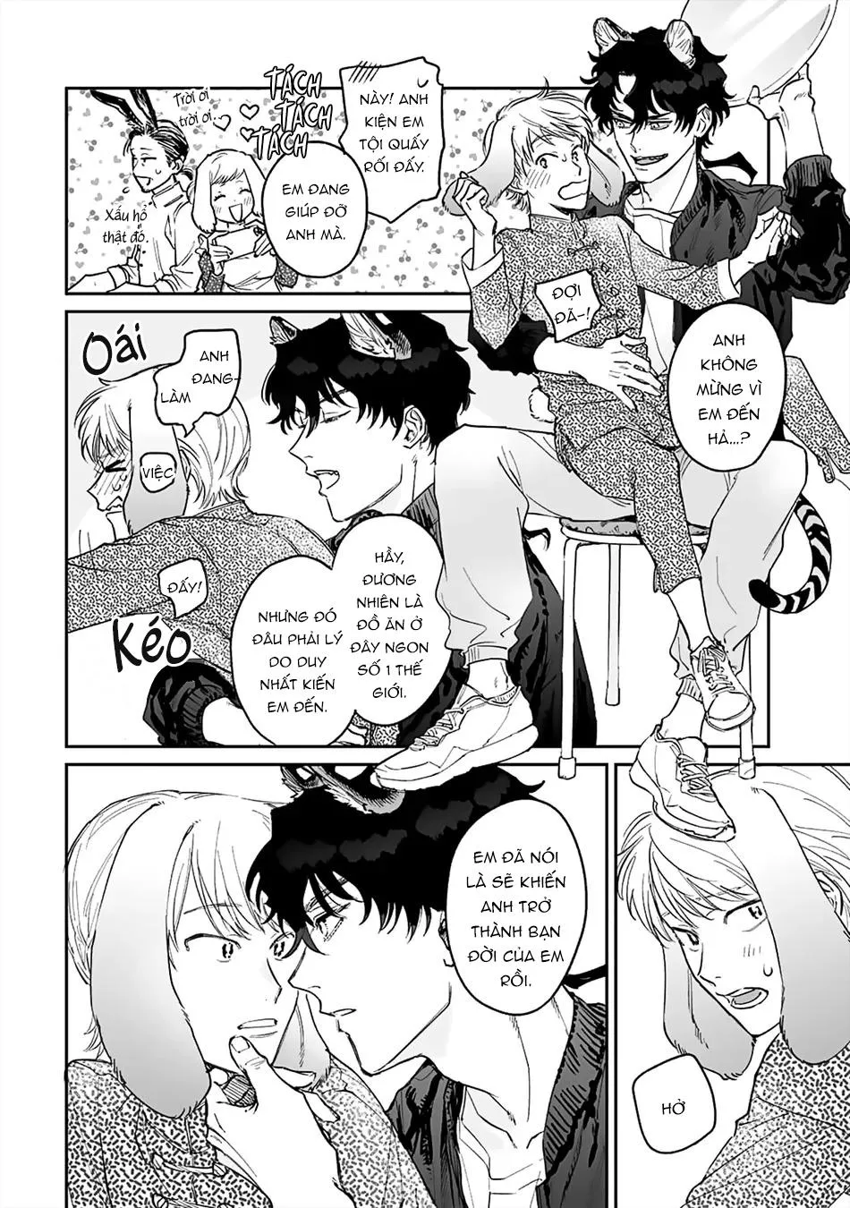 Thỏ cưng của Hổ siêu ngầu Chapter 2 Trang 33