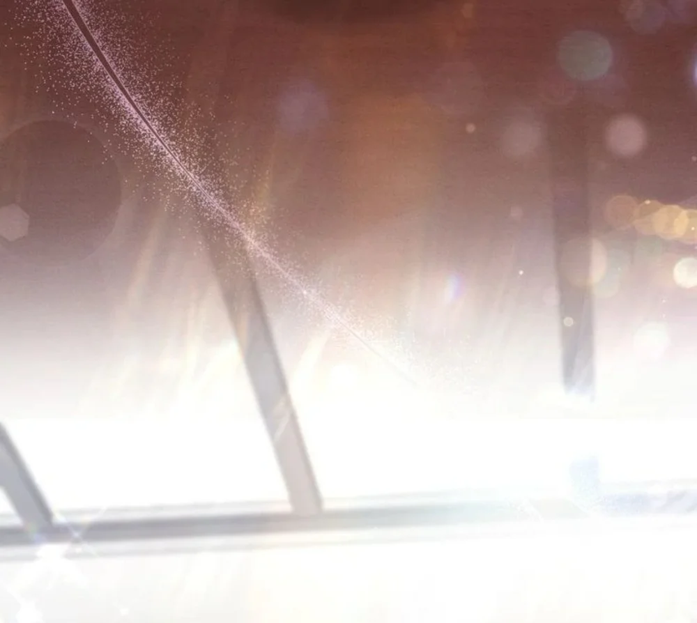 Thợ Săn Chỉ Muốn Ở Ẩn Chapter 26 Trang 31