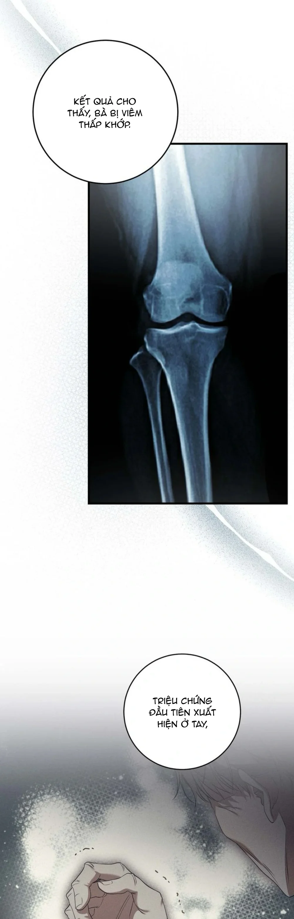 Thợ Săn Chỉ Muốn Ở Ẩn Chapter 28 Trang 4