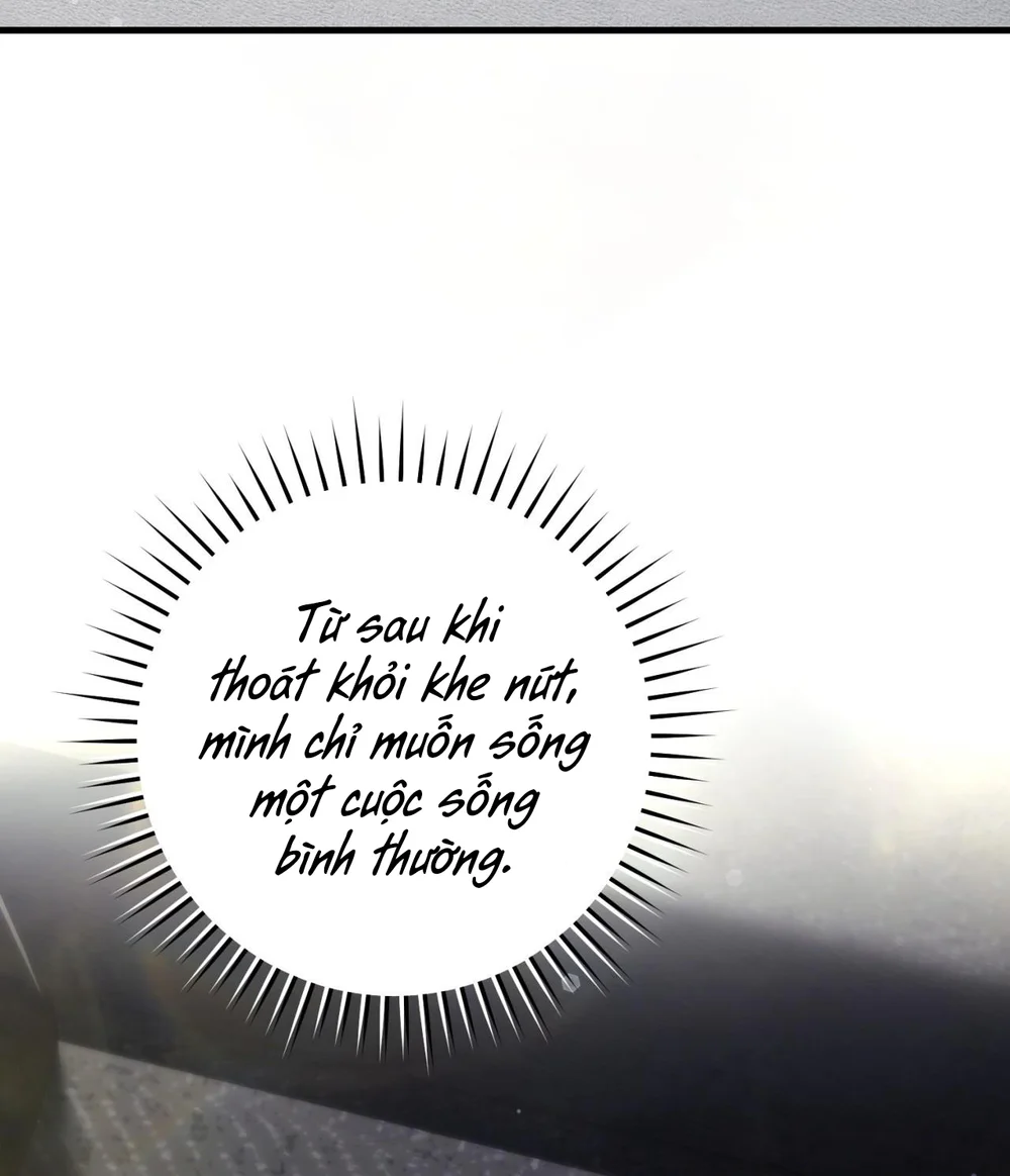 Thợ Săn Chỉ Muốn Ở Ẩn Chapter 33 Trang 17