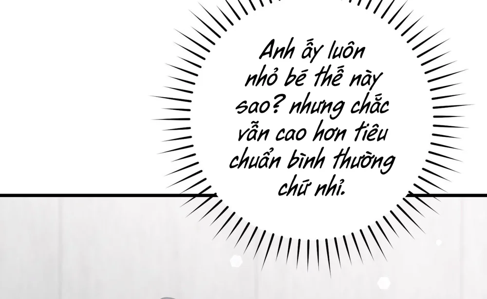 Thợ Săn Chỉ Muốn Ở Ẩn Chapter 33 Trang 72