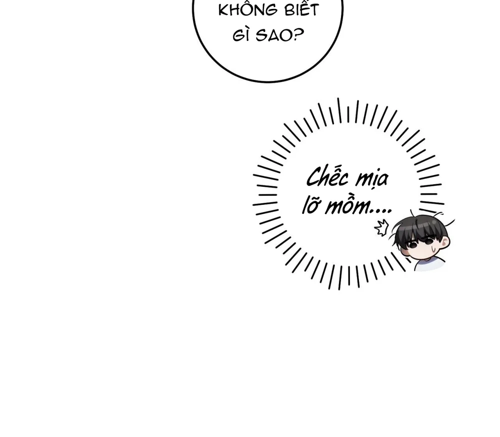 Thợ Săn Chỉ Muốn Ở Ẩn Chapter 41 Trang 34