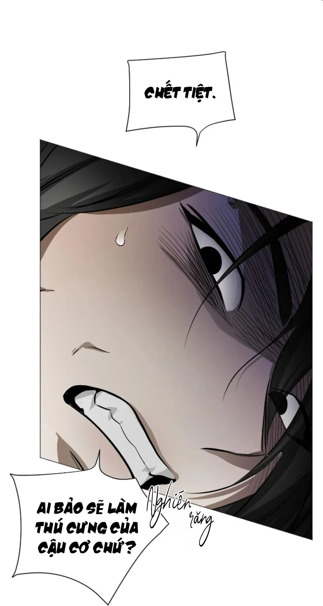 THỢ SĂN TÀI BA VÀ CON MỒI CỦA HẮN Chapter 2 Trang 74