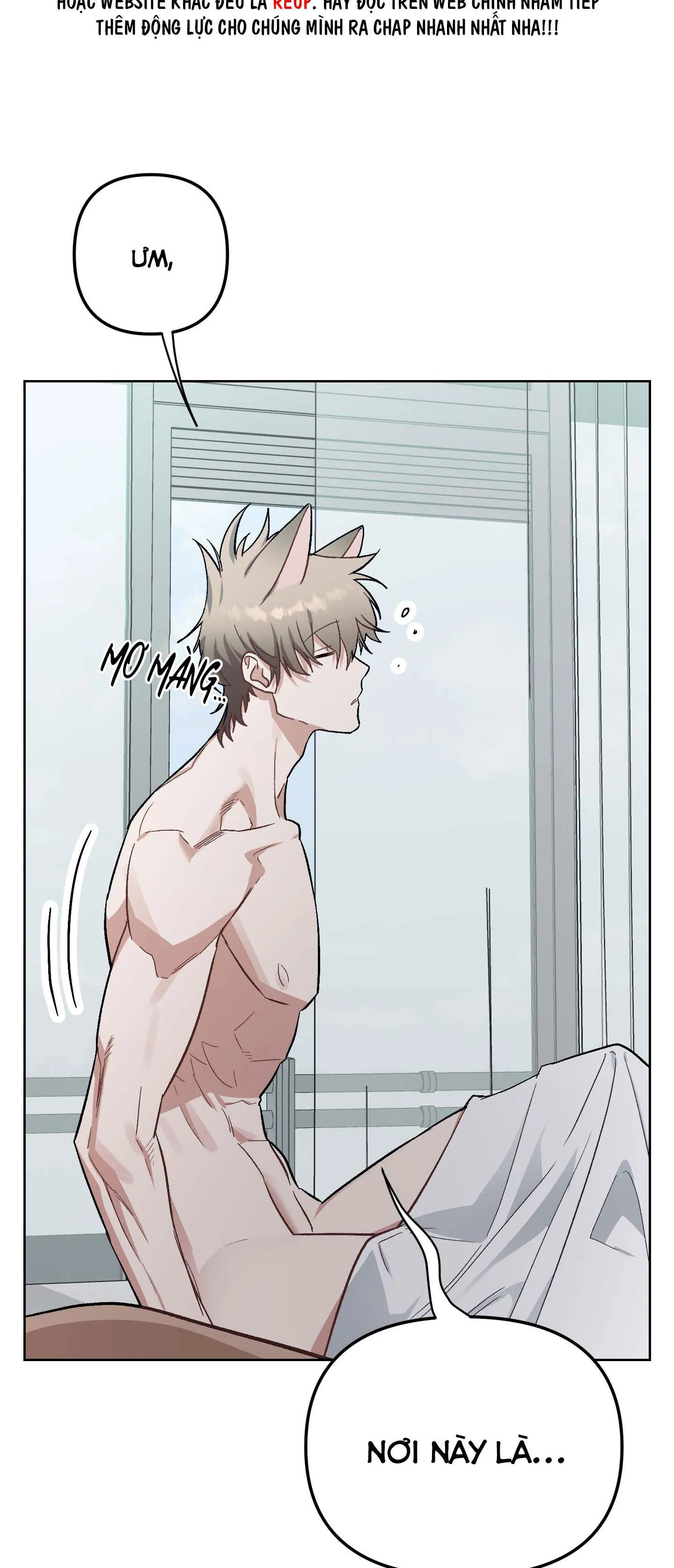 THỎ NHỎ XUẤT TINH TRONG 3 GIÂY (END) Chapter 5 Trang 4