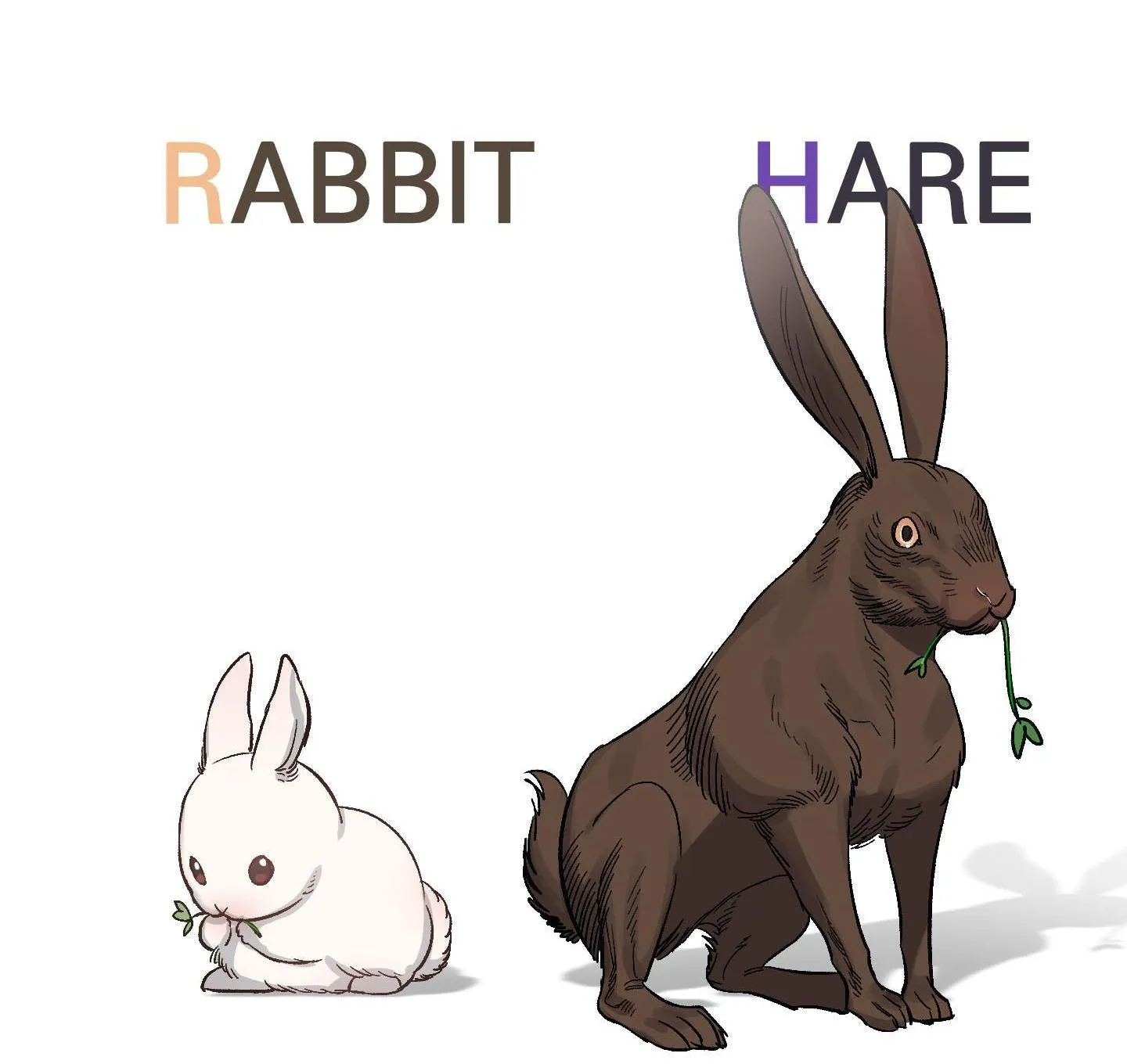 Bé Thỏ xuất tinh trong 3s Chapter 2 Trang 62