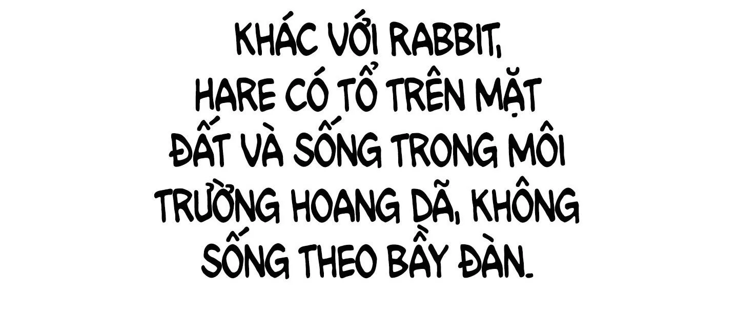 Bé Thỏ xuất tinh trong 3s Chapter 2 Trang 63