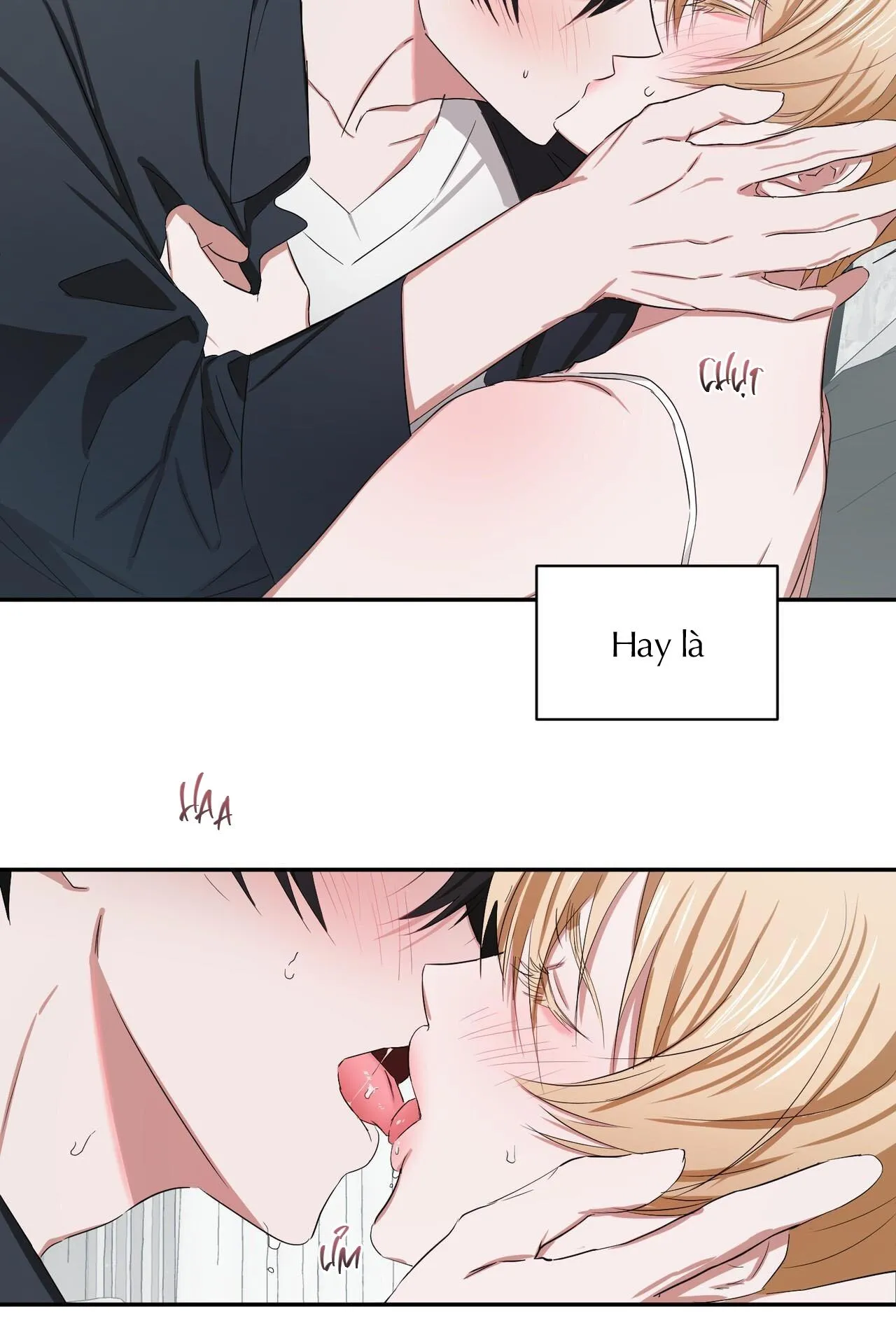 Thời Gian Hoàn Hảo Của Cô Tiểu Thư Chapter 4 Trang 5