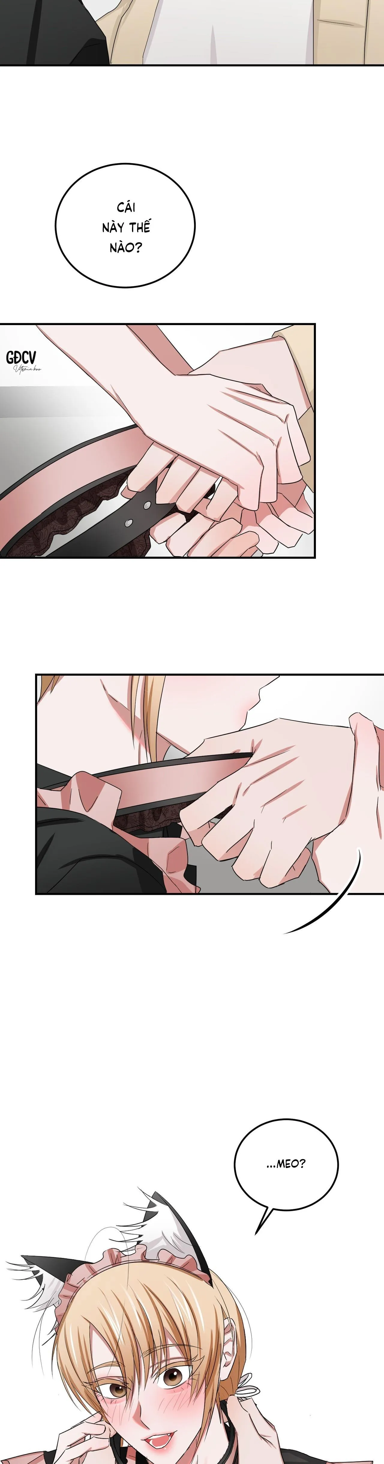 Thời Gian Hoàn Hảo Của Cô Tiểu Thư Chapter 16 Trang 22