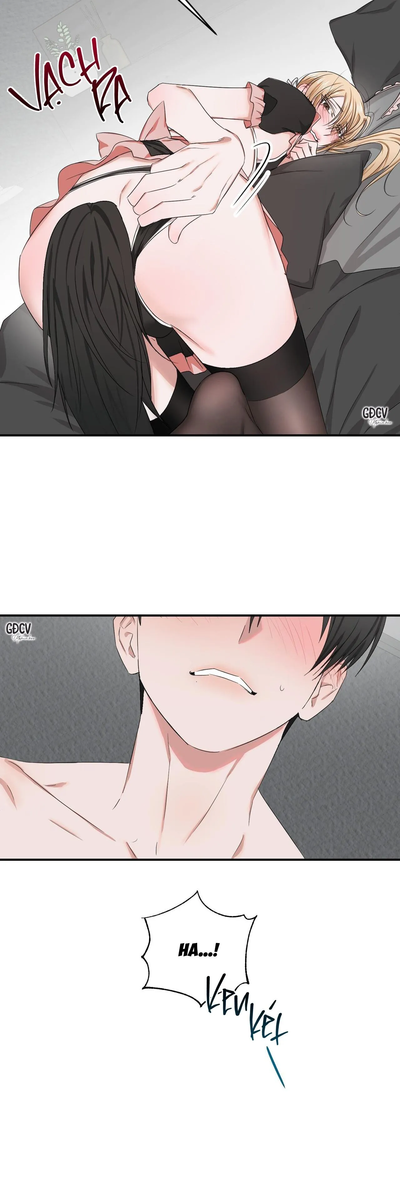 Thời Gian Hoàn Hảo Của Cô Tiểu Thư Chapter 17 Trang 11