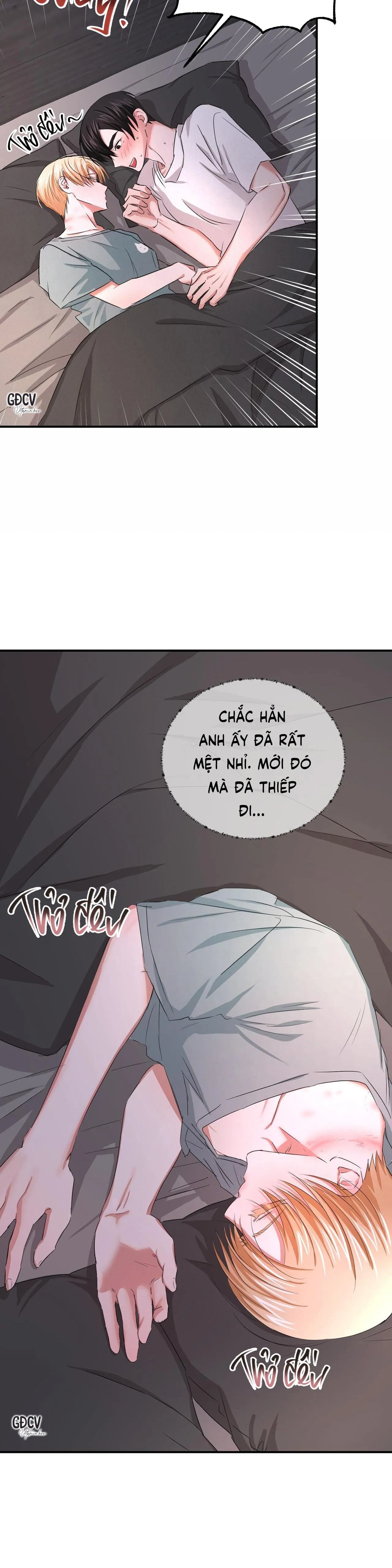 Thời Gian Hoàn Hảo Của Cô Tiểu Thư Chapter 18 Trang 11