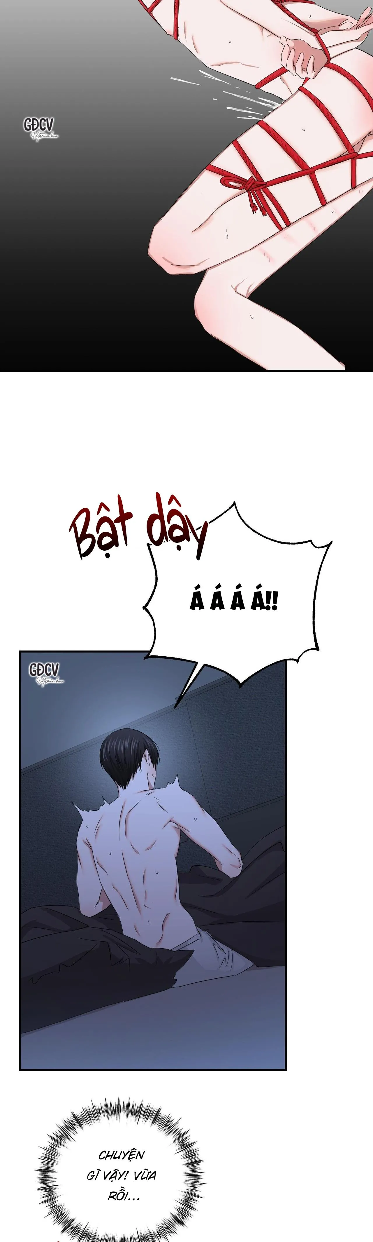 Thời Gian Hoàn Hảo Của Cô Tiểu Thư Chapter 20 Trang 11