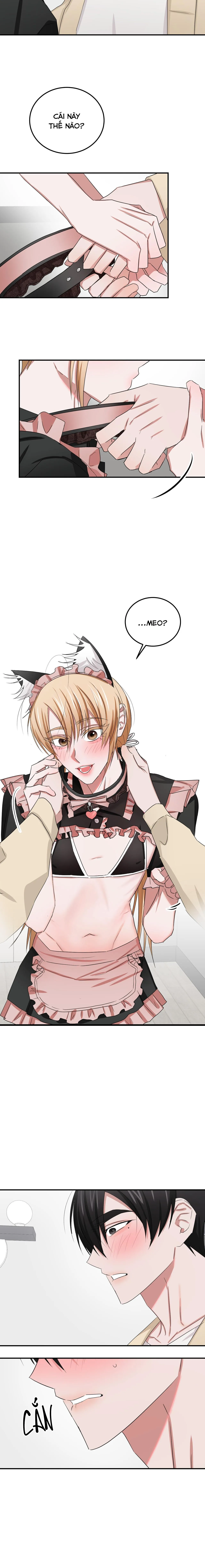 THỜI GIAN TUYỆT VỜI Chapter 16 Trang 11