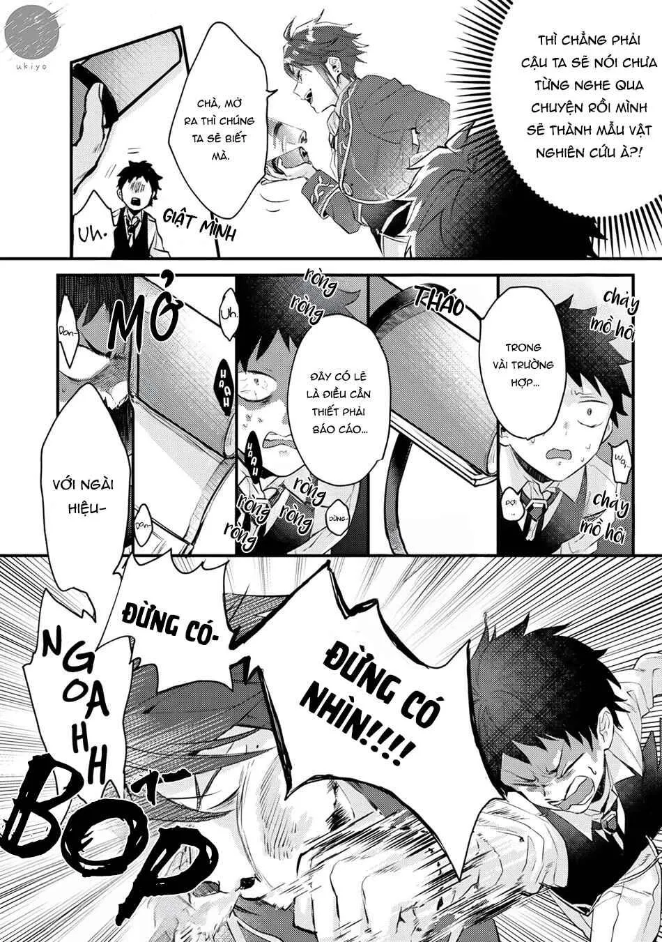 Thứ duy nhất tôi không muốn trở thành chính là Omega!! Chapter 2 Trang 21