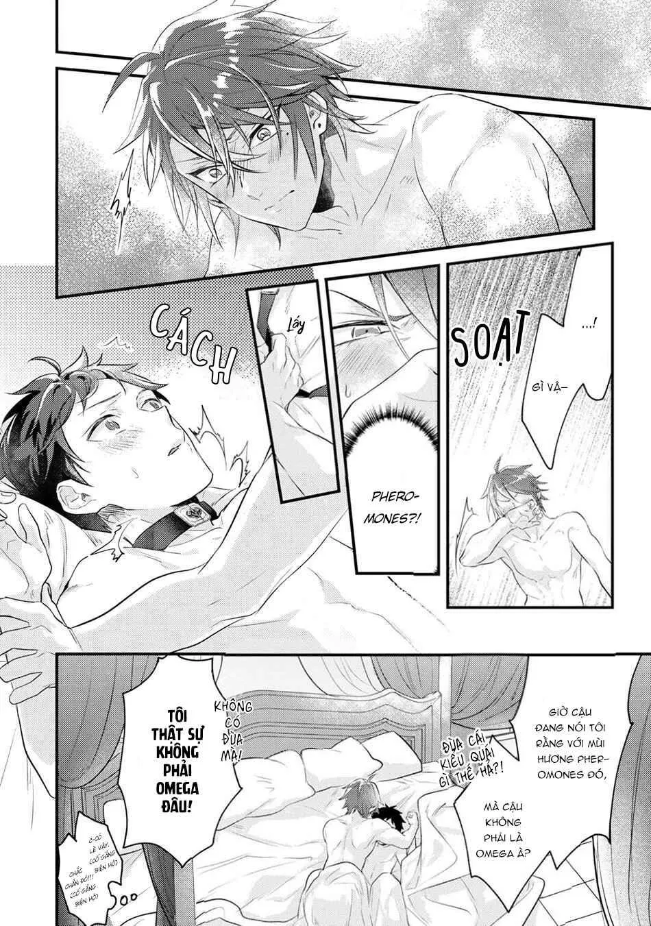 Thứ duy nhất tôi không muốn trở thành chính là Omega!! Chapter 5 Trang 17