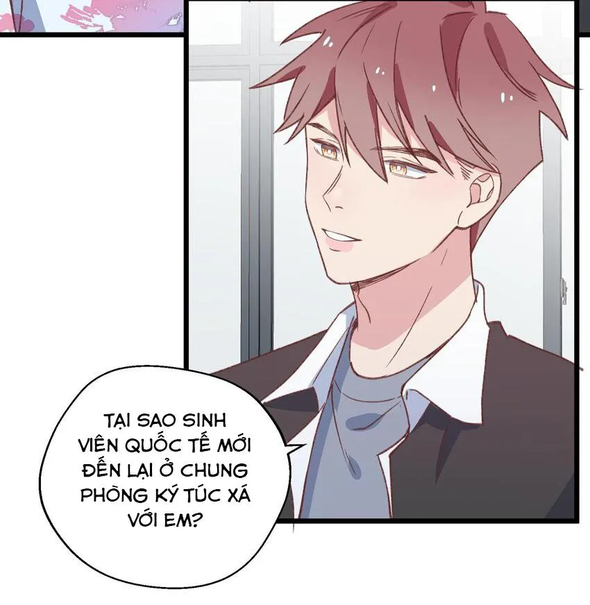 Thử thách không động tâm Chapter 27 Trang 24