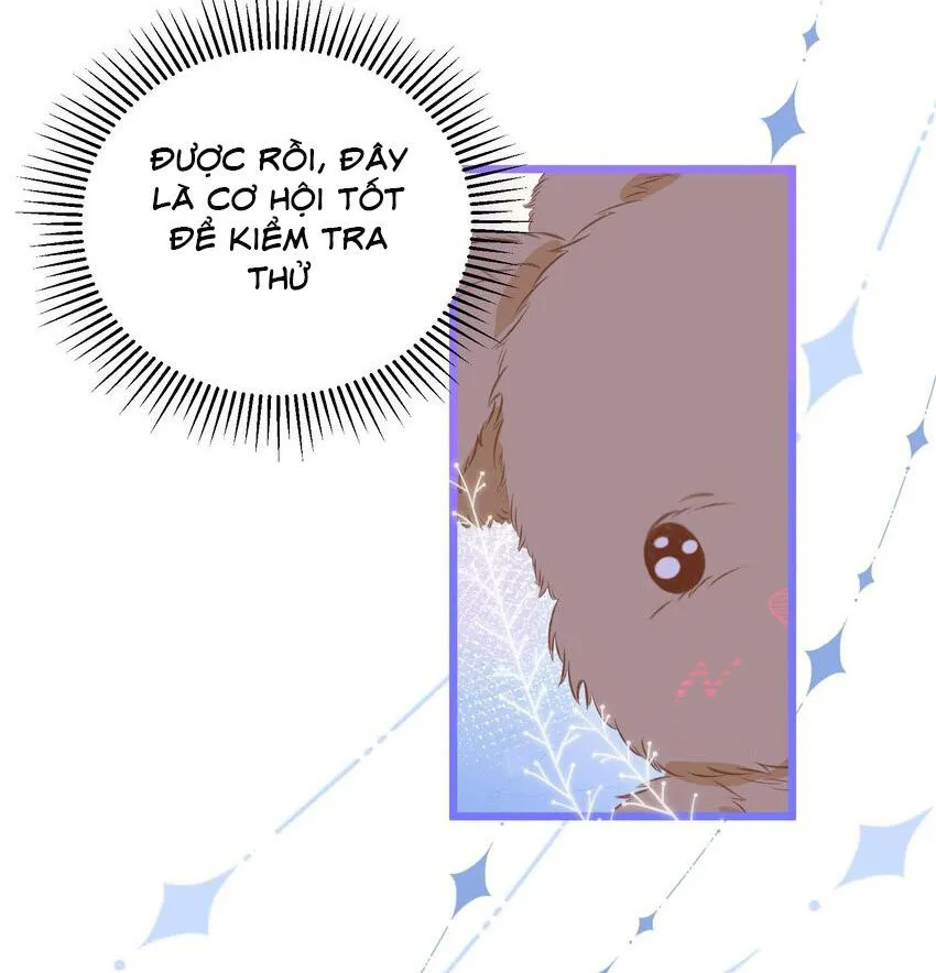 Thử thách không động tâm Chapter 36 Trang 15