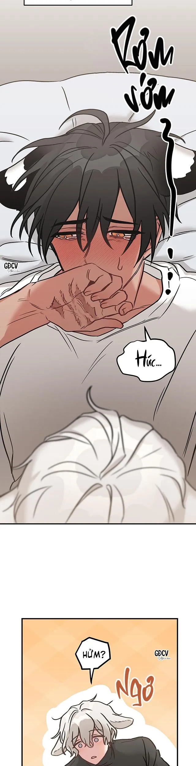 THƯA NGÀI HỔ, TÔI ĐÃ ĂN RẤT NGON MIỆNG Chapter 2 Trang 4