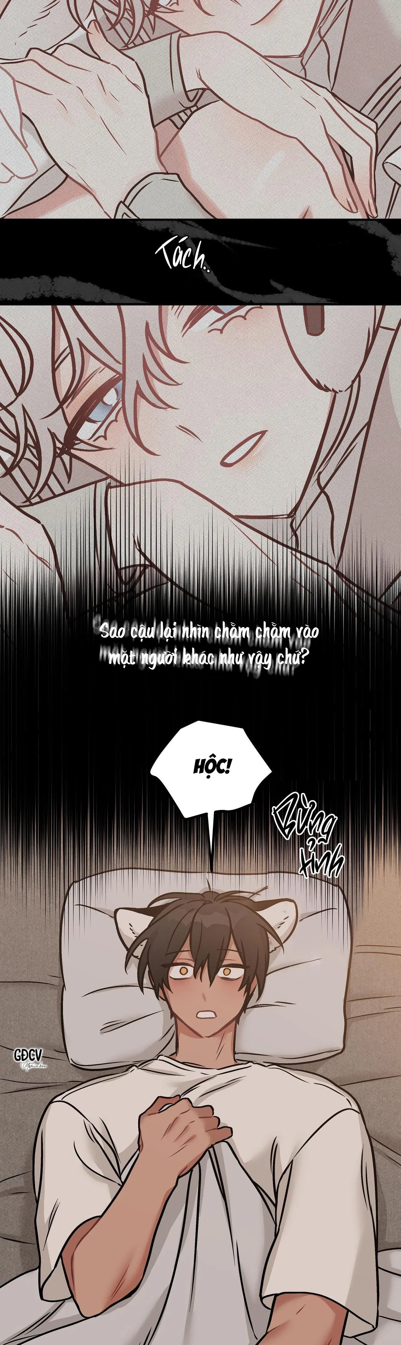 THƯA NGÀI HỔ, TÔI ĐÃ ĂN RẤT NGON MIỆNG Chapter 3 Trang 3