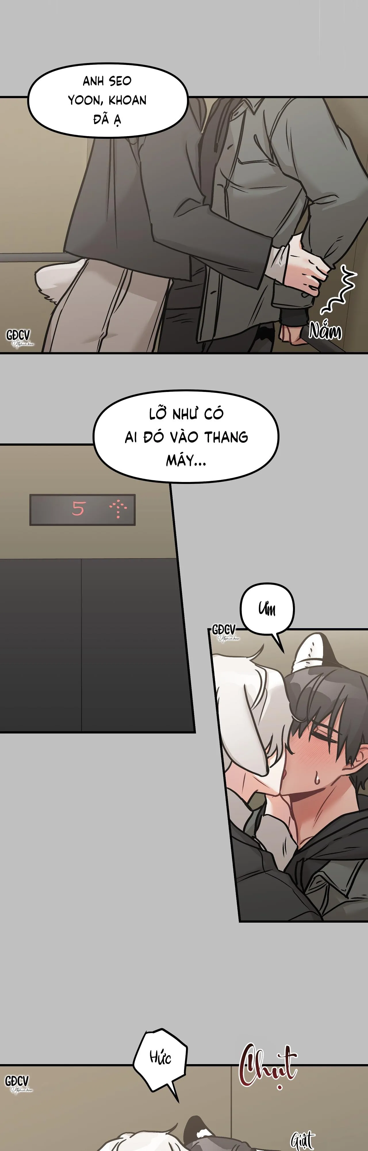 THƯA NGÀI HỔ, TÔI ĐÃ ĂN RẤT NGON MIỆNG Chapter 7 Trang 12