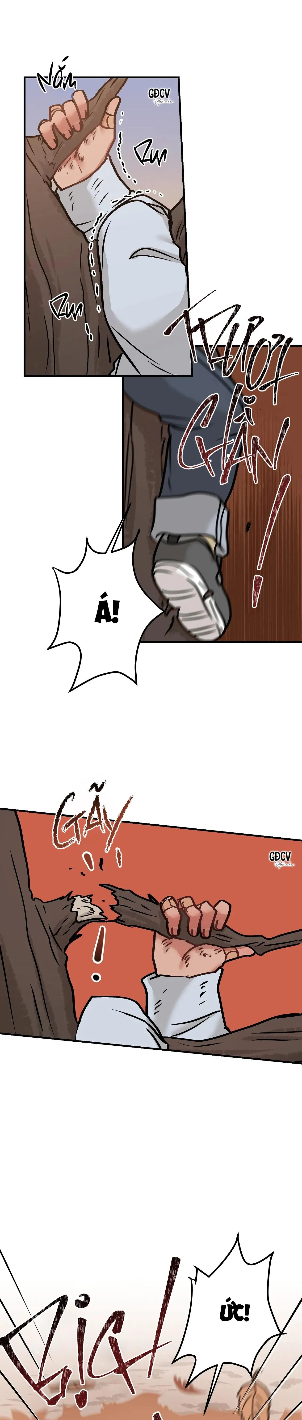 THƯA NGÀI HỔ, TÔI ĐÃ ĂN RẤT NGON MIỆNG Chapter 11 Trang 30