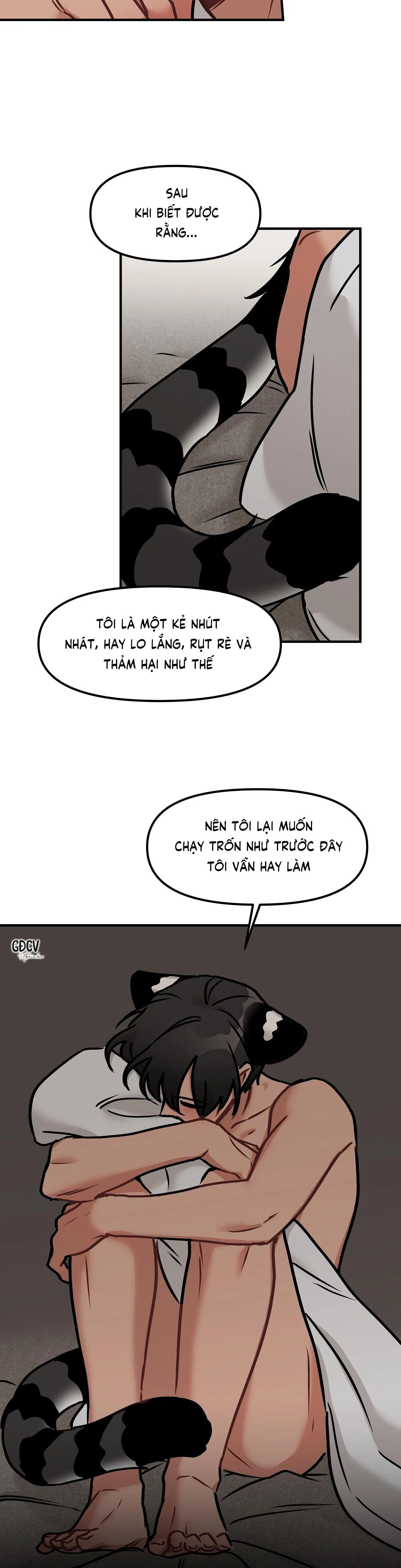 THƯA NGÀI HỔ, TÔI ĐÃ ĂN RẤT NGON MIỆNG Chapter 12 Trang 11