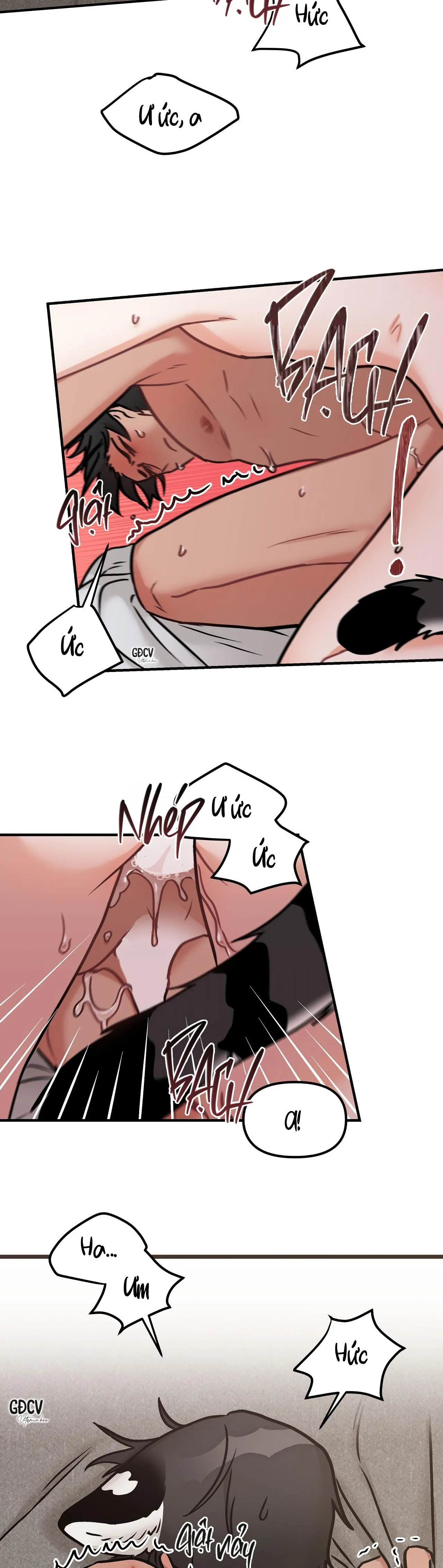 THƯA NGÀI HỔ, TÔI ĐÃ ĂN RẤT NGON MIỆNG Chapter 12 Trang 29