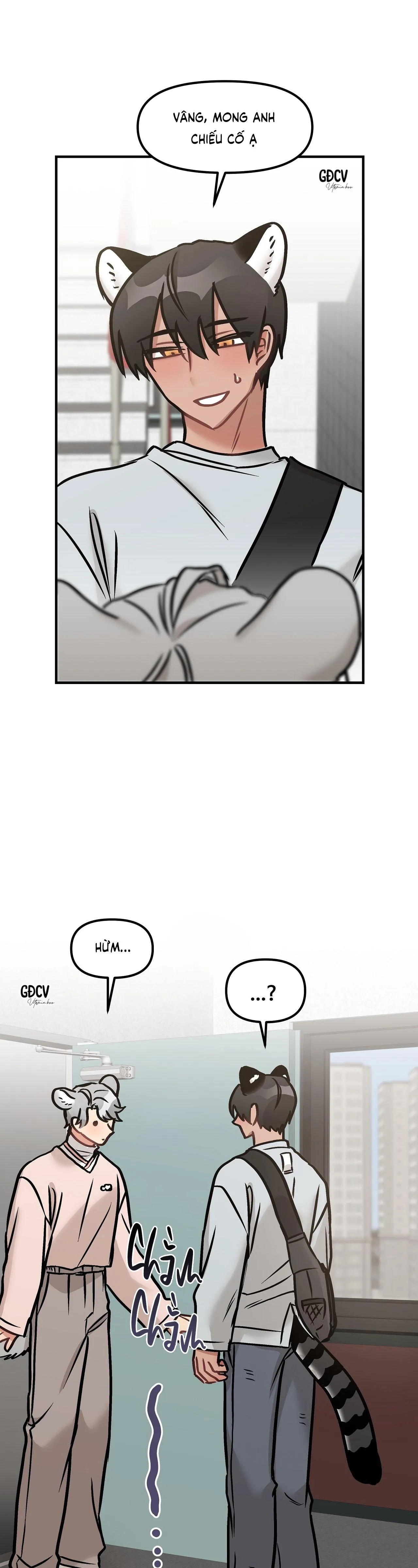 THƯA NGÀI HỔ, TÔI ĐÃ ĂN RẤT NGON MIỆNG Chapter 14 Trang 21