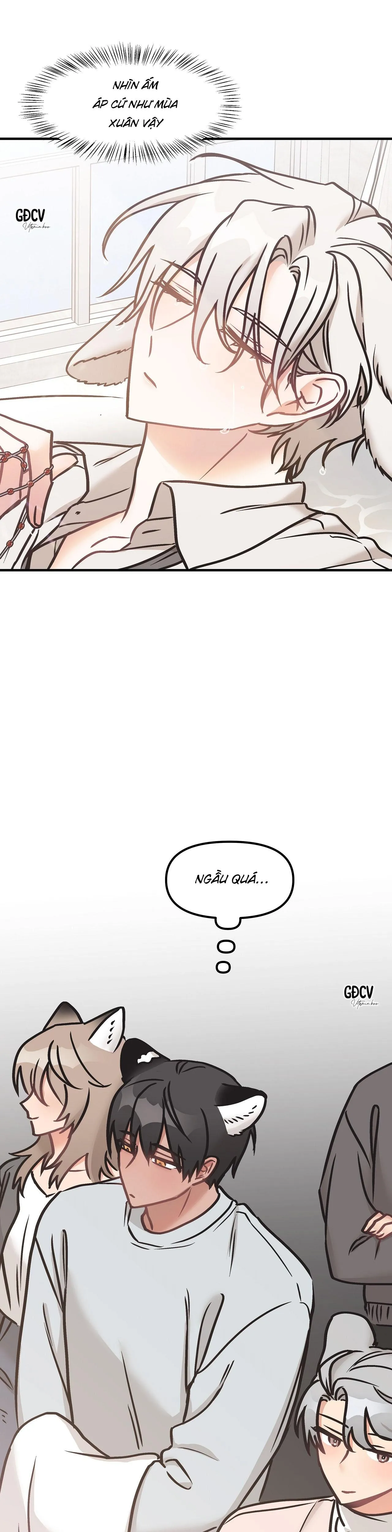 THƯA NGÀI HỔ, TÔI ĐÃ ĂN RẤT NGON MIỆNG Chapter 15 Trang 5